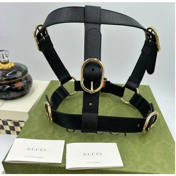 Gucci demetra , extra large leather dog harness made in Italy - Picture 1 of 14